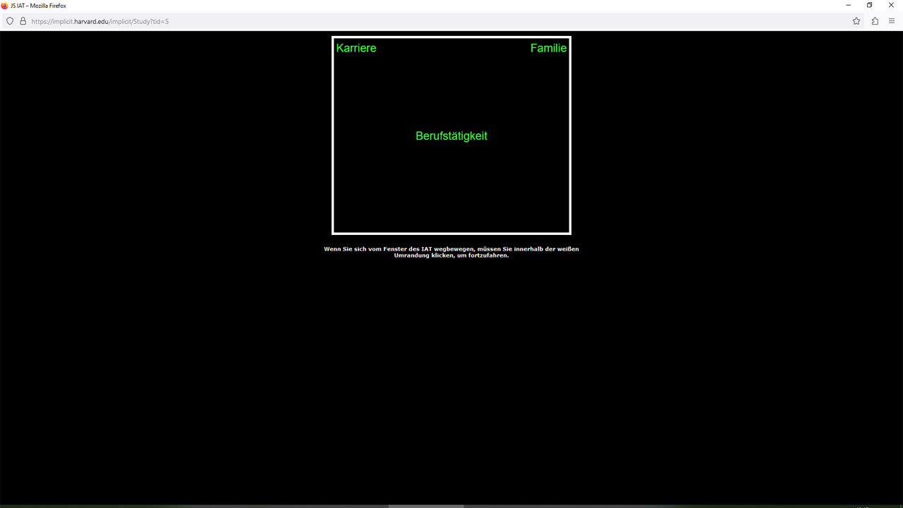 Screenshot des Implicit Association Tests