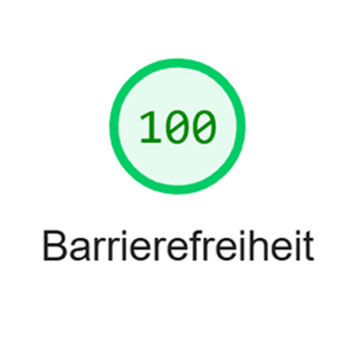 Der Screenshot zeigt die grüne Zahl 100 mit dem Titel Barrierefreiheit, die erscheint, wenn eine Website die Prüfung mit Google Lighthouse vollständig besteht.