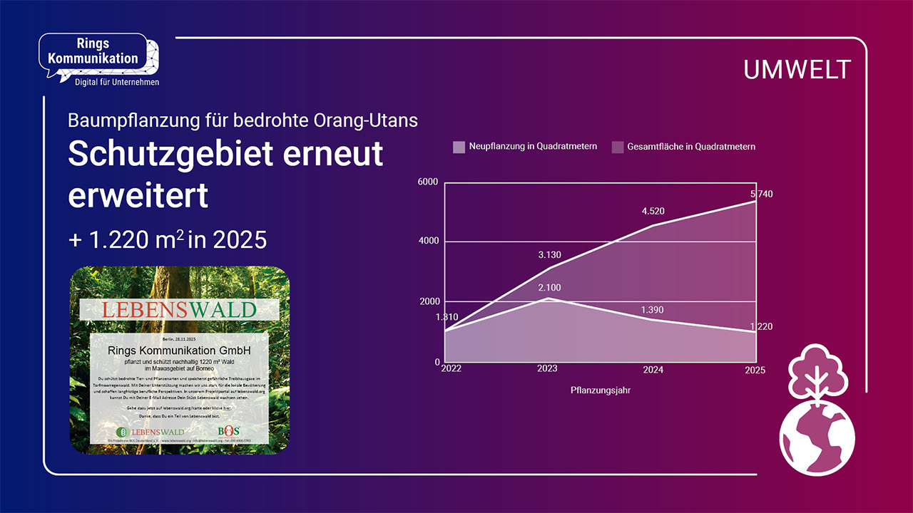 Infografik - Baumpflanzungen für bedrohte Orang-Utans. Ein Diagramm zeigt die Fläche des RingsKomm Lebenswaldes. Im Jahr 2022 wurden 1.030 Quadratmeter Wald neu gepflanzt. Im Jahr 2023 wurden 2.100 Quadratmeter Wald neu gepflanzt. Die Gesamtfläche des Lebenswaldes lag danach bei 3.130 Quadratmetern. Im Jahr 2024 wurden 1.390 Quadratmeter Wald neu gepflanzt. Die Gesamtfläche des Lebenswaldes lag danach bei 4.520 Quadratmetern. Im Jahr 2025 wurden 1.220 Quadratmeter Wald neu gepflanzt. Die Gesamtfläche des Lebenswaldes lag danach bei 5.740 Quadratmetern. Die Spendenurkunde von BOS Deutschland e.V. belegt unser Engagement.